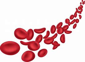 Image result for Blood Cells Clip Art