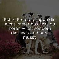 Image result for Freundschaft Bilder