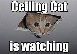 Image result for Ceiling Cat Meme