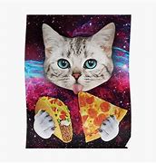 Image result for Space Cat and Taco Meme