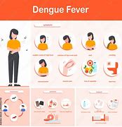 Image result for Dengue Fever Doh