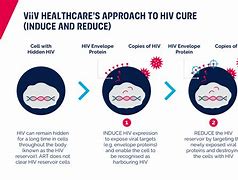 Image result for Tenemine HIV