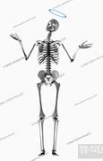 Image result for Angel Skeleton Found