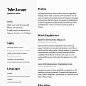 Image result for Buyer/Planner Resume Examples