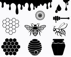 Image result for Honey Out SVG