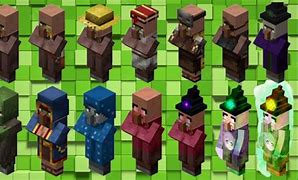 Image result for Villager Anatomy