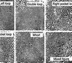 Image result for Forensics Crime Scene Fingerprints