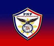 Image result for PNP DEG Badge