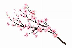 Image result for Cherry Blossom Tree Branches