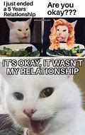 Image result for Funny Meow