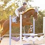 Image result for Equestrian Use of Roadways