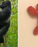 Image result for Harambe-Shaped Cheeto