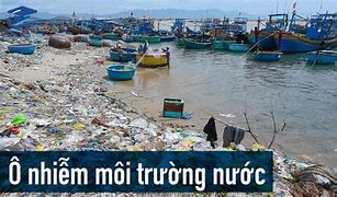 Image result for Khái Niệm Môi Trường