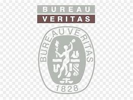 Image result for Bureau Veritas White Logo