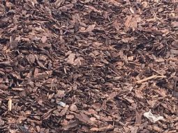 Image result for Tree Bark Mulch