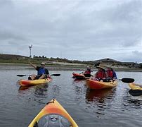 Image result for Newport Bay Conservation