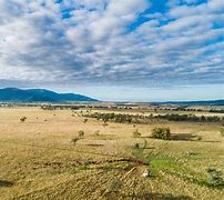 Image result for cattle herd aerial view