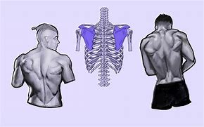 Image result for How to Draw a Person Back View