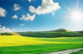 Image result for Sunny Morning Outside