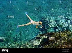 Image result for snorkeling zakynthos greece