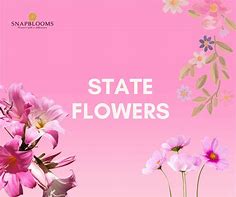 Image result for State Flower Symbol