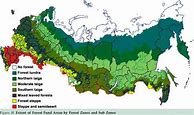 Image result for Russia Forest Map