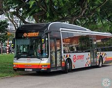 Image result for Smrt Bus for 7