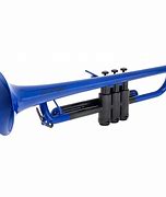 Image result for D On Trumpet