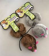 Image result for Cat Toy Mouse Chase