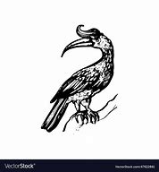 Image result for Jungle Bird Drawing