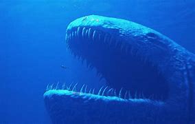 Image result for Atlantic Aquarium Bloop