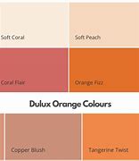 Image result for Dulux Orange