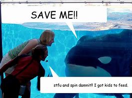 Image result for Free Willy Funny