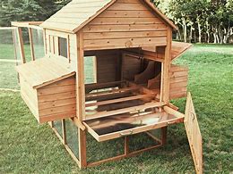 Image result for Back Yard Chicken Co-op Ideas