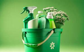 Image result for Eco Cleaning Products