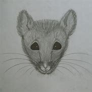 Image result for Rat Mask Drawing