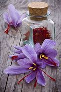 Image result for Saffron On Top