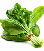 Image result for Spinach Gree Plant