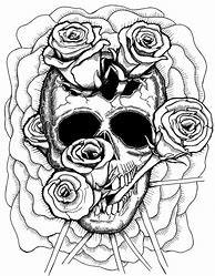 Image result for Detailed Skull Drawing