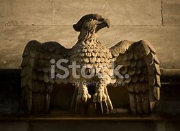 Image result for Gargoyle Bird