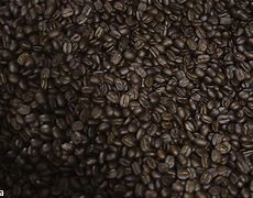 Image result for Kenya Coffee Food Pair