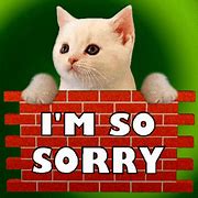 Image result for Truly Sorry GIF