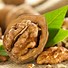 Image result for Walnut Gather