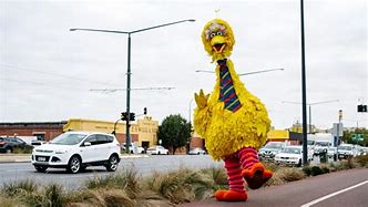 Image result for Gangsta Big Bird