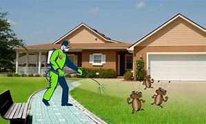 Image result for Pest Free! Tennessee