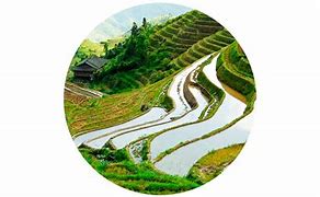 Image result for Ancient China Farming