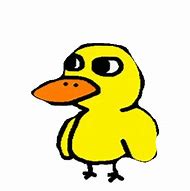 Image result for Yellow Duck Meme