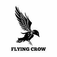 Image result for Flying Crow Logo