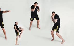 Image result for Punching Pose