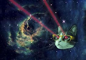 Image result for Space Keddit Cat